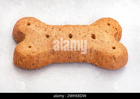 Einzelner großer Hundekeks in Knochenform auf meliertem Grau Stockfoto