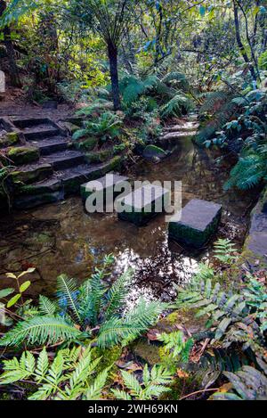 Große Steinblöcke an einer Flussüberquerung entlang des üppig grünen Five Waterfall Walk in Lawson, New South Wales, Australien Stockfoto