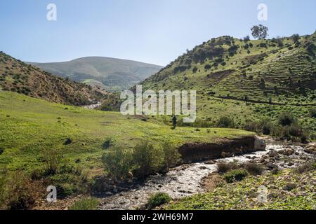 Landschaft des nördlichen Tunesiens - Sejnene - Tunesien Stockfoto