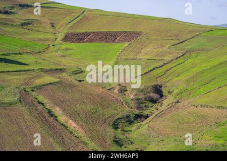 Landschaft des nördlichen Tunesiens - Sejnene - Tunesien Stockfoto