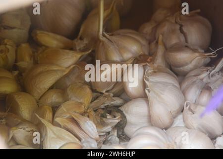 Nahaufnahme von Knoblauch, verpackt mit transparentem Kunststoff. Verpackte Zwiebeln können in verschiedenen Größen erworben werden. Stockfoto