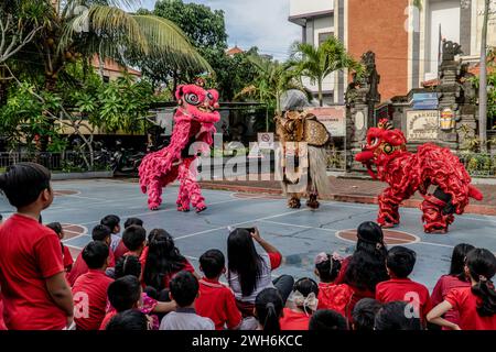 Badung, Indonesien. Februar 2024. Die Zusammenarbeit zwischen Barongsai Lion Dance und Balinese Single Barong unterhält Schüler an der Widiatmika School in Jimbaran, Badung, Bali, Indonesien, um das bevorstehende chinesische Mondneujahr zu feiern, das am 10. Februar 2024 stattfinden soll. Das chinesische Mondneujahr 2024 ist das Jahr des Drachen. Quelle: SOPA Images Limited/Alamy Live News Stockfoto