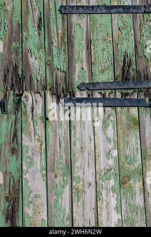 Eine alte Scheunentür mit abblätternder grüner Farbe und Metallscharnieren Stockfoto