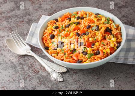 Spanischer, mexikanischer Tomatenreis mit Bohnen in einer Schüssel auf dem Tisch. Horizontal Stockfoto
