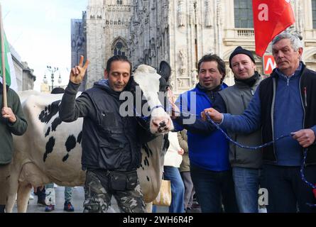 Protest der Bauern in Italien auf dem Domplatz Mailand mit der Kuh Ercolina Stockfoto