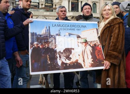 Protest der Bauern in Italien auf dem Domplatz Mailand mit der Kuh Ercolina Stockfoto