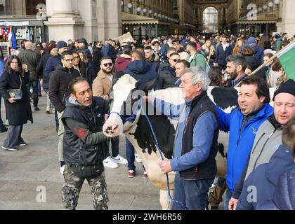 Protest der Bauern in Italien auf dem Domplatz Mailand mit der Kuh Ercolina Stockfoto