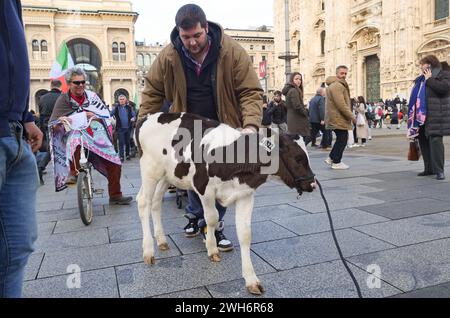 Protest der Bauern in Italien auf dem Domplatz Mailand mit der Kuh Ercolina Stockfoto