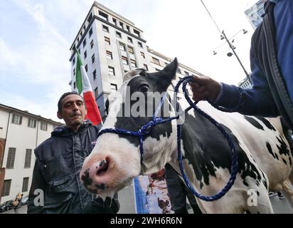 Protest der Bauern in Italien auf dem Domplatz Mailand mit der Kuh Ercolina Stockfoto