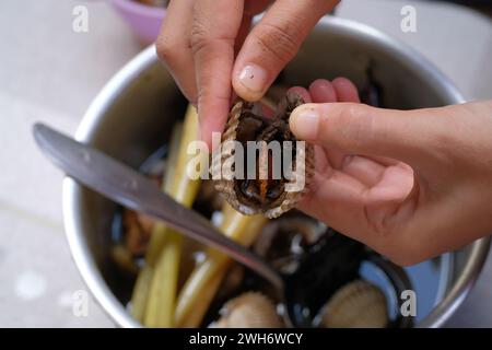 Indonesische frische Meeresfrüchte gekochte Muscheln ohne Muscheln auf einem Löffel Stockfoto