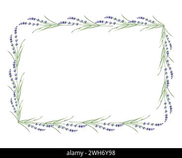 Horizontaler Aquarellrahmen aus violetten Lavendelblüten mit grün verflochtenen Blättern. Vorlage aus Naturkräutern mit Kopierraum. Isolierte Handzeichnung Stockfoto