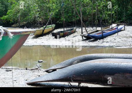 Santo Amaro, Bahia, Brasilien - 19. Juli 2015: Blick auf die Fischerkanus hielten am Hafen von Acupe, Bezirk der Stadt Santo Amaro, Bahia. Stockfoto