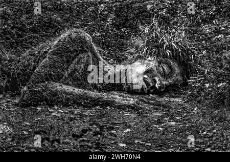 Skulptur „The Mud Maid“ von Susan Hill, The Lost Gardens of Heligan, nahe St Austell, Cornwall, England, Vereinigtes Königreich, Europa, 2001 Stockfoto