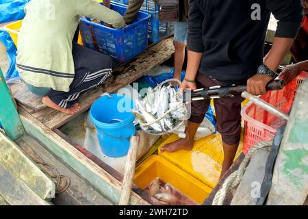 Frischer Fisch kam gerade aus dem Meer, gefangen von Fischern in den Träumen der Fischer Stockfoto