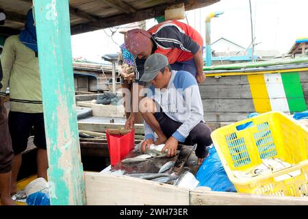 Lampung, Indonesien, 07. Oktober 2022: Fischer oder Besatzungsmitglieder sortieren Fische in einem Korb, der gerade gefangen wurde und gewogen wird. Stockfoto