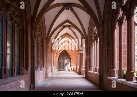 Inneres des Klosters / Mainzer Dom / Mainzer Dom, ein mittelalterliches Gewölbegebäude aus rosa Stein. Stockfoto