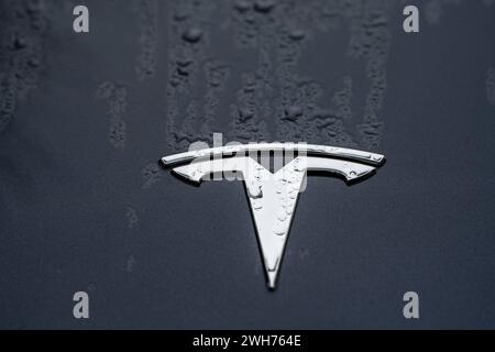 Tesla-Logo auf regennasser, schwarzer Motorhaube 08.02.24, Limburg: Symbolfoto, Illustrationsbild, Symbolbild, Illustrationsfoto Tesla-Logo auf regennasser, schwarzer Motorhaube ein detailliertes Bild zeigt das glänzende Tesla-Logo in der Mitte einer schwarzen, regennassen Motorhaube. Die Wassertropfen auf der Oberfläche fangen das Licht ein und betonen die Eleganz und Sauberkeit des Designs, während das Markante Tesla-Logo stolz im Zentrum steht. Dieses Bild fängt die moderne Eleganz und die innovative Ausstrahlung der Marke Tesla ein. . Limburg Hessen Deutschland *** Tesla-Logo auf regengetränktem bl Stockfoto