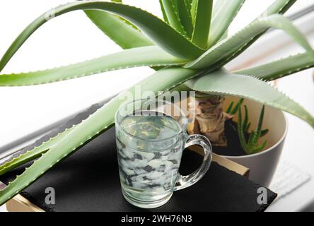 Selektiver Fokus auf Aloe Vera Saftgetränk mit Fruchtfleischstücken im Inneren. Gesundes hausgemachtes Getränk mit Aloe Vera Pflanze wächst. Stockfoto
