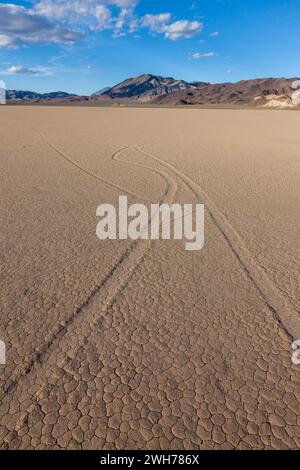 Spuren von Segelsteinen auf der Rennstrecke Playa im Death Valley National Park in der Mojave-Wüste, Kalifornien. Stockfoto