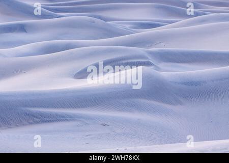 Pastellblaues Licht auf den Mesquite Flat Sand Dunes nach Sonnenuntergang in der Mojave Wüste im Death Valley National Park, Kalifornien. Stockfoto