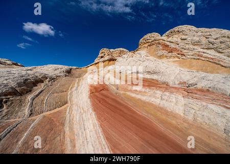 Detail des Lollipop Rock im White Pocket Recreation Area, Vermilion Cliffs National Monument, Arizona. Stockfoto