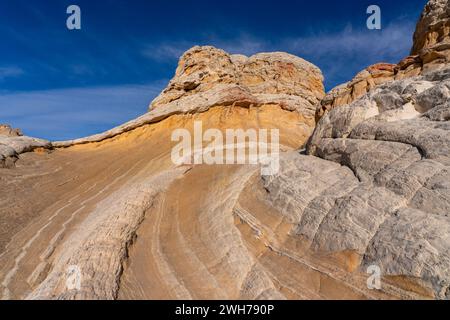 Detail des Lollipop Rock im White Pocket Recreation Area, Vermilion Cliffs National Monument, Arizona. Stockfoto