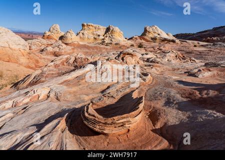 Erodierte Navajo-Sandsteinformationen im White Pocket Recreation Area, Vermilion Cliffs National Monument, Arizona. Lollipop Rock ist im Hinterland Stockfoto