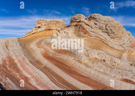 Detail des Lollipop Rock im White Pocket Recreation Area, Vermilion Cliffs National Monument, Arizona. Stockfoto