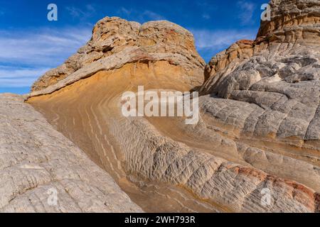 Detail des Lollipop Rock im White Pocket Recreation Area, Vermilion Cliffs National Monument, Arizona. Stockfoto