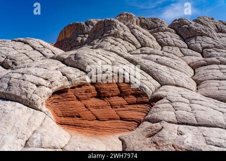 Das Dragon's Eye aus erodiertem weißem Pillow Rock oder Brain Rock Sandstein im White Pocket, Vermilion Cliffs National Monument, Arizona. Sowohl das rote A Stockfoto