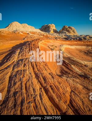 Das erste Licht auf dem Drachenschwanz im White Pocket Recreation Area, Vermilion Cliffs National Monument, Arizona. Stockfoto