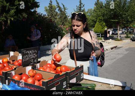 Frau, die Tomaten auf dem Markt Vouliagmeni Athen-Attika-Griechenland kauft Stockfoto
