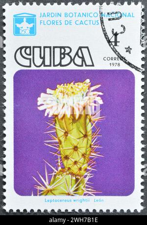 Gestempelte Briefmarke von Kuba, die Leptocereus wrightii Cactus zeigt, um 1978. Stockfoto