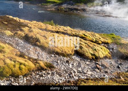 Nahaufnahme der heißen Quellen in der Nähe der geheimen Lagune in Island Stockfoto