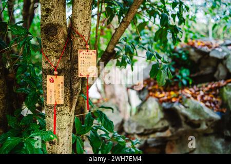 Tongli, China Stockfoto