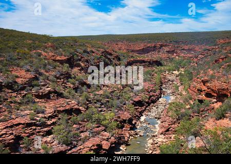 Blick auf die rote Sandsteinschlucht des Murchison River vom Z Bend Lookout, Kalbarri National Park, Western Australia Stockfoto