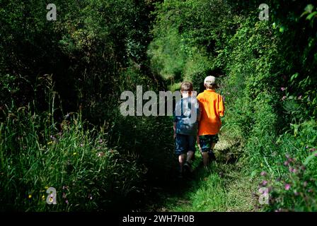 Zwei kleine Jungs gehen einen Pfad hinauf und erkunden einen sonnigen Wald. Stockfoto