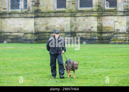 Polizistin trägt Polizeimütze mit Schäferhund an der Leine, patrouilliert auf dem Gras vor der Mauer der Kathedrale von Salisbury Stockfoto