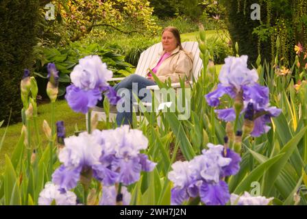 Iris Display Garden Bank, Schreiners Iris Gardens, Keizer, Oregon Stockfoto