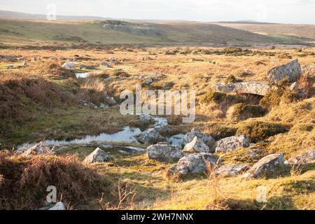 Blick auf Schafe, die auf Bodmin Moor in der Nähe der Minions in Cornwall in Großbritannien weiden Stockfoto