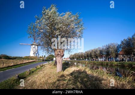 Damse Vaart, die Schellemolen-Windmühle, Noorweegse Kaai, Damme, Flandern, Belgien, Europa Stockfoto