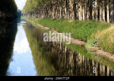 Schipdonk-Kanal bei Moerkerke, Schipdonkvaart, Damme, Flandern, Belgien, Europa Stockfoto