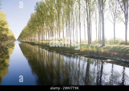 Schipdonk-Kanal bei Moerkerke, Schipdonkvaart, Damme, Flandern, Belgien, Europa Stockfoto