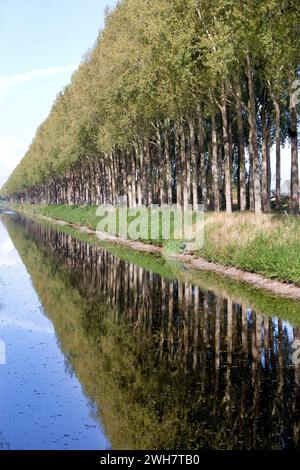 Schipdonk-Kanal bei Moerkerke, Schipdonkvaart, Damme, Flandern, Belgien, Europa Stockfoto