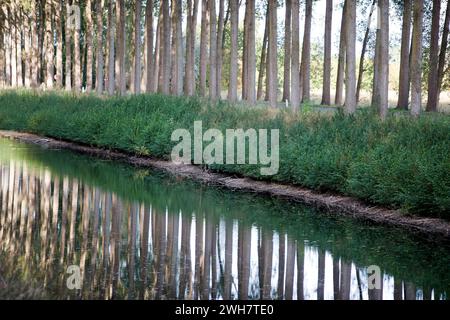 Schipdonk-Kanal bei Moerkerke, Schipdonkvaart, Damme, Flandern, Belgien, Europa Stockfoto