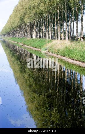 Schipdonk-Kanal bei Moerkerke, Schipdonkvaart, Damme, Flandern, Belgien, Europa Stockfoto