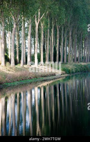 Schipdonk-Kanal bei Moerkerke, Schipdonkvaart, Damme, Flandern, Belgien, Europa Stockfoto