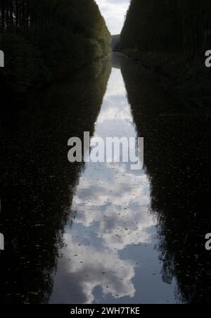 Schipdonk-Kanal bei Moerkerke, Schipdonkvaart, Damme, Flandern, Belgien, Europa Stockfoto