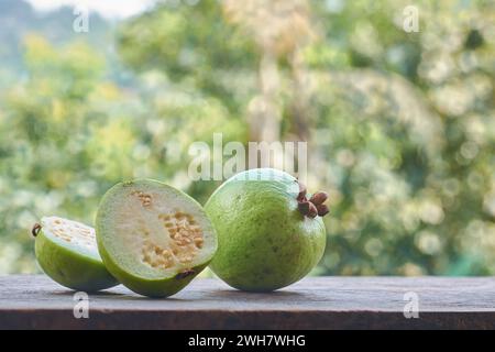 Guave isoliert auf verschwommenem Gartenhintergrund, oval geformte gewöhnliche tropische und nährstoffreiche Früchte, die reich an Vitamin C, Ballaststoffen und Antioxidantien sind Stockfoto