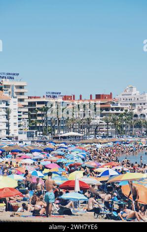 Überfüllte Strände in der Stadt Peñiscola, Spanien, am 22. Juli 2019 Stockfoto